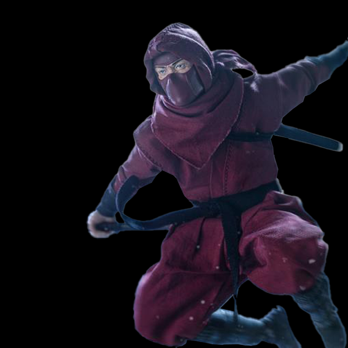 Ozajoy-Vtoys-Shadow Ninja-Red Ninja